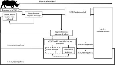 Epidemiology of Tuberculosis in Multi-Host Wildlife Systems: Implications for Black (Diceros bicornis) and White (Ceratotherium simum) Rhinoceros